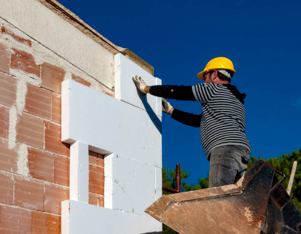 Best Spray Foam Insulation  in Bel Nor, MO