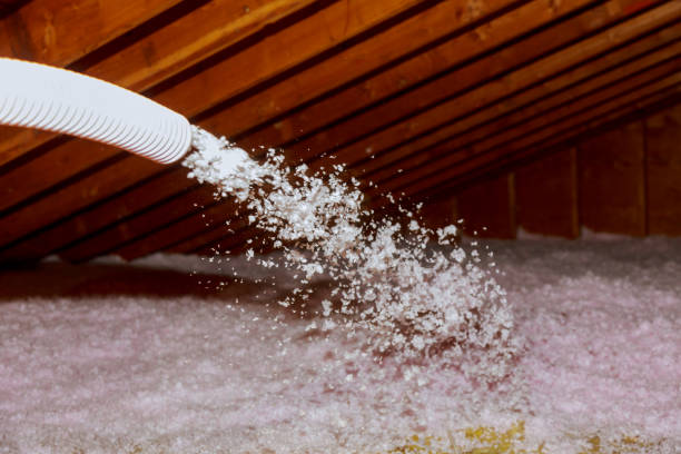 Insulation Repair Services in Bel Nor, MO