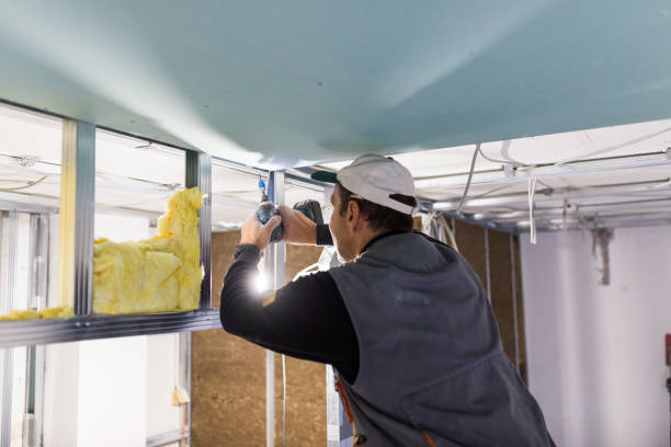 Best Attic Insulation Near Me  in Bel Nor, MO