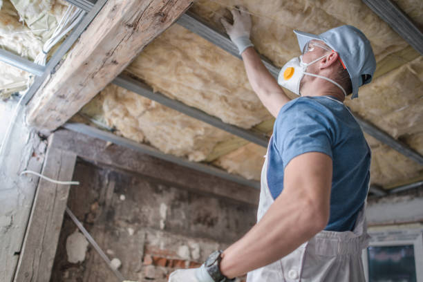 Best Residential Insulation Services  in Bel Nor, MO