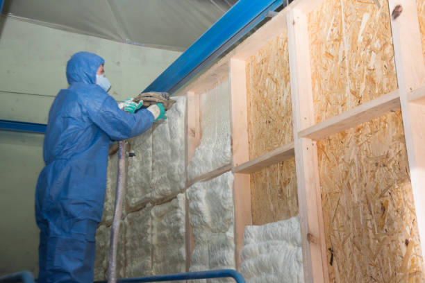 Best Attic Insulation Installation  in Bel Nor, MO
